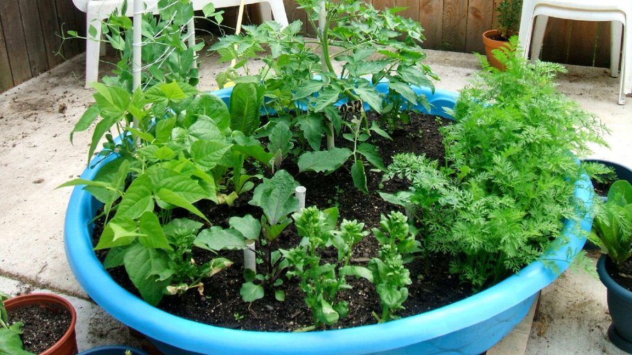 kiddie pool garden